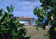 vignette seychelles_032.jpg 