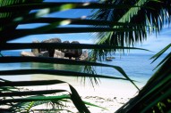 vignette seychelles_050.jpg 